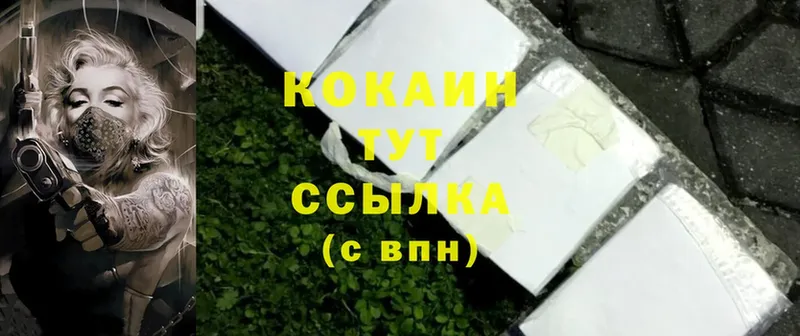 Cocaine FishScale  Мичуринск 