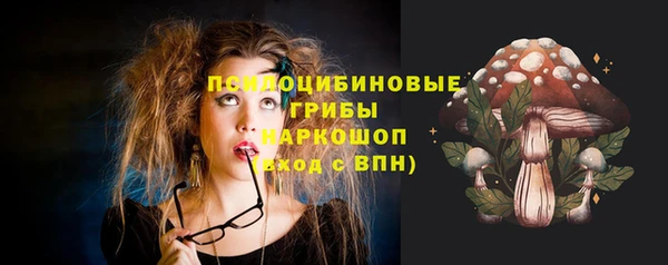 дурь Нея