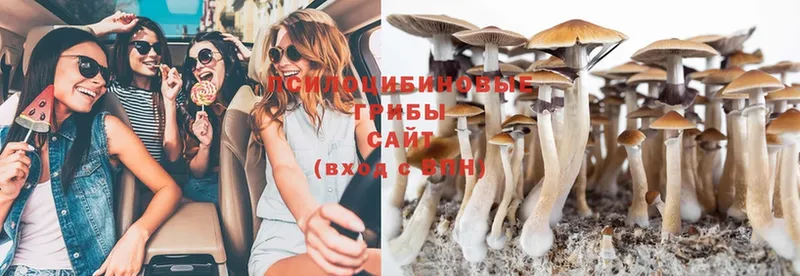 что такое   это формула  ОМГ ОМГ ссылки  Псилоцибиновые грибы Psilocybe  Мичуринск 